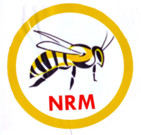 National Rescue Movement (NRM) logo